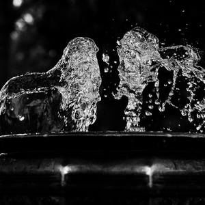 Meet your Posher, Tim